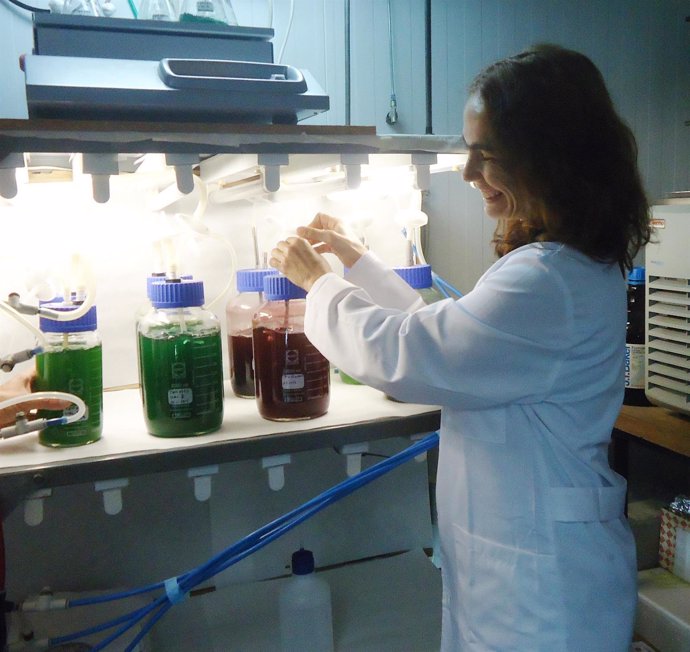 Investigadora trabaja con microalgas