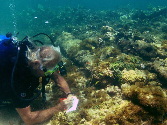 Un explorador subacuático investiga sobre la nao Santa María. 