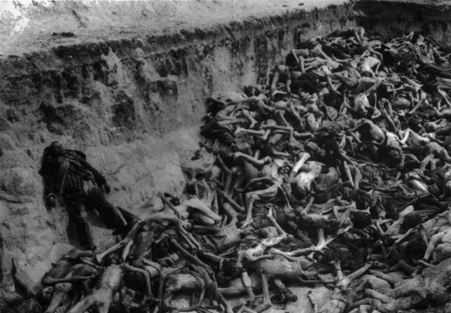 Holocausto. Exterminio nazi