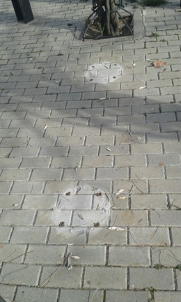 Destrozos en Parque del Seminario de Jaén