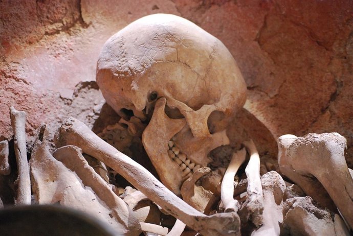 El yacimiento argárico de La Bastida 