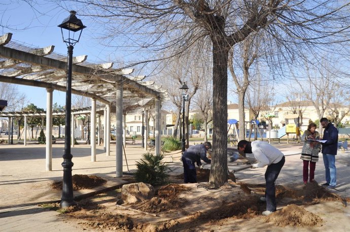 Reforma integral del Parque de la Música