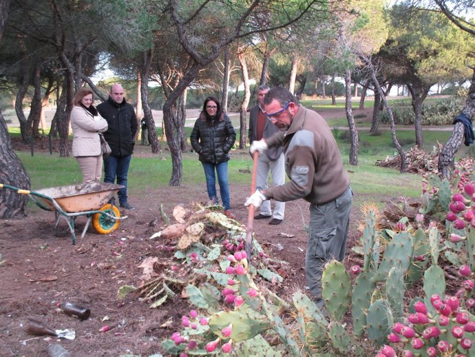 Área recreativa de Cartaya. 