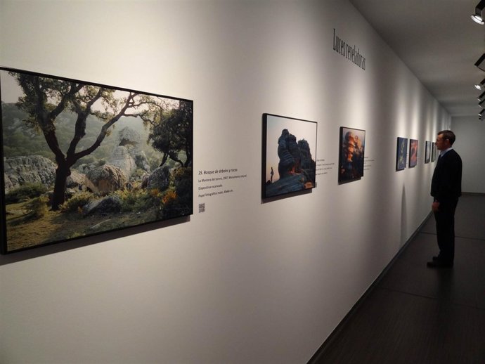 Exposición De Fotografía 'Luces Y Sombras: Naturaleza Y Artificio', Del Malagueñ