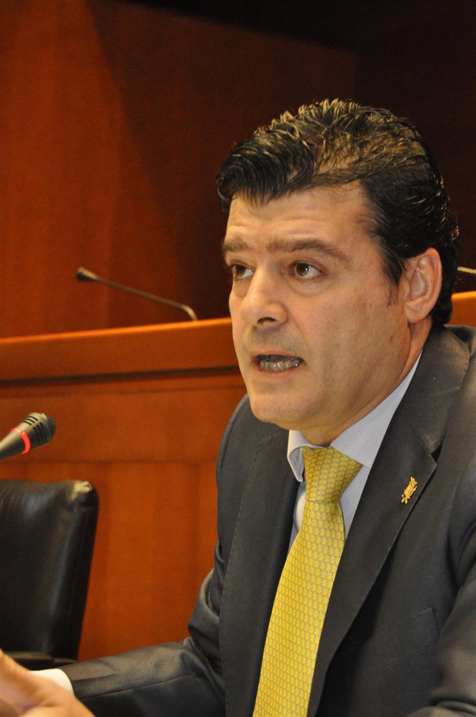 Javier Allué