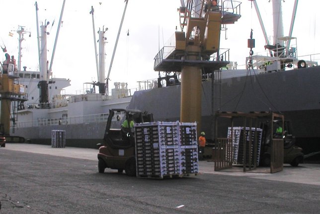 Exportación de tomate canario