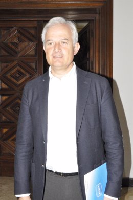 El portavoz municipal del PP-Zaragoza, Eloy Suárez.