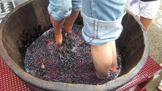 Pisando la uva