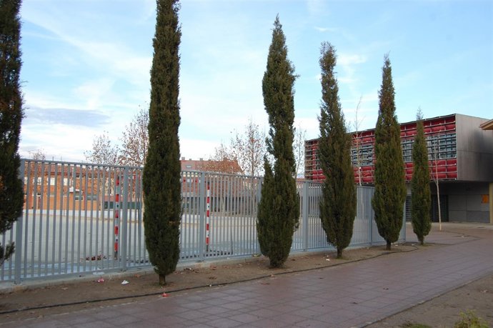 Coelgio en Cigales (Valladolid)