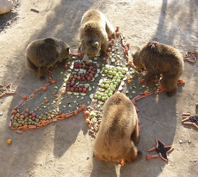 Imagen de Fabila y los otros osos del parque