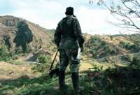 El cese bilateral del fuego en Colombia, ¿un sueño que puede cumplirse?