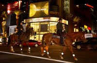 ¿Cómo se creó la Academia de Hollywood, organizadora de los Oscar?