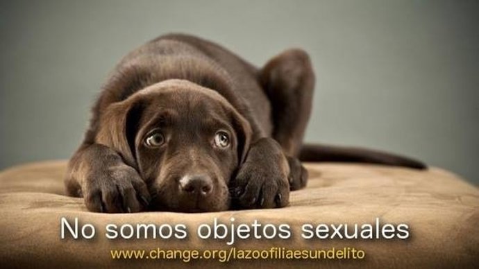 135.000 Personas Piden Que La Zoofilia Sea Delito En El Código Penal