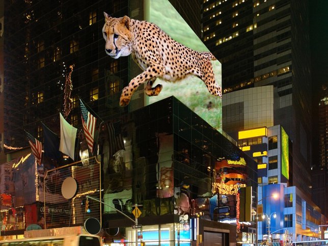 pantalla 3D sin gafas