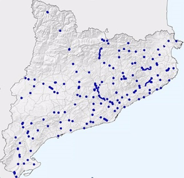 Puntos de mejora de la seguridad en las carreteras catalana