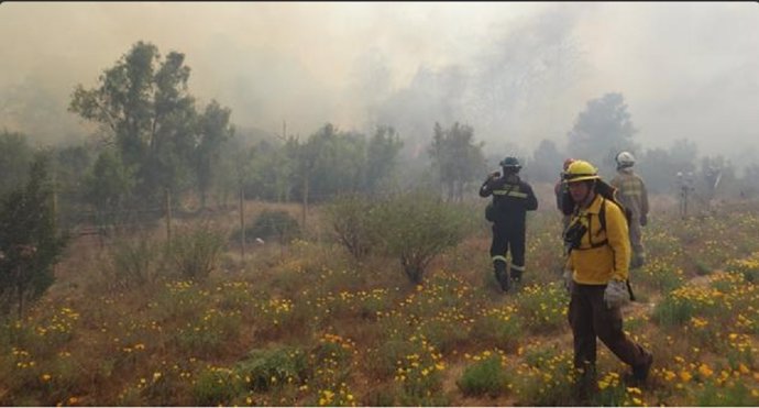 Siguen activos siete incendios forestales en Chile