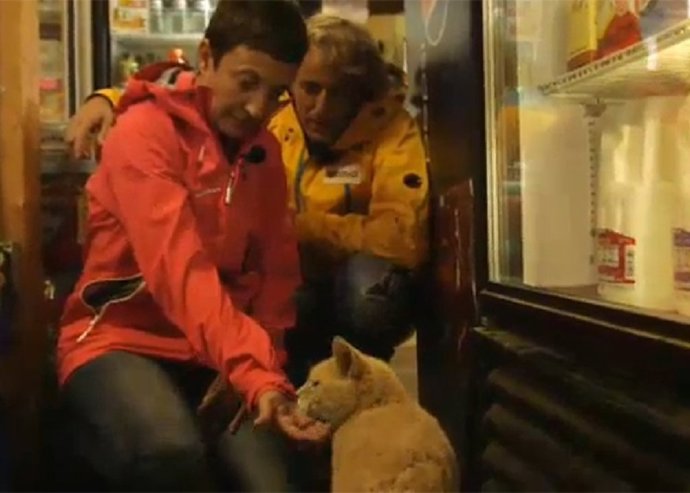 Stubbs, el gato alcalde desde 1997... ¿La solución a la corrupción?