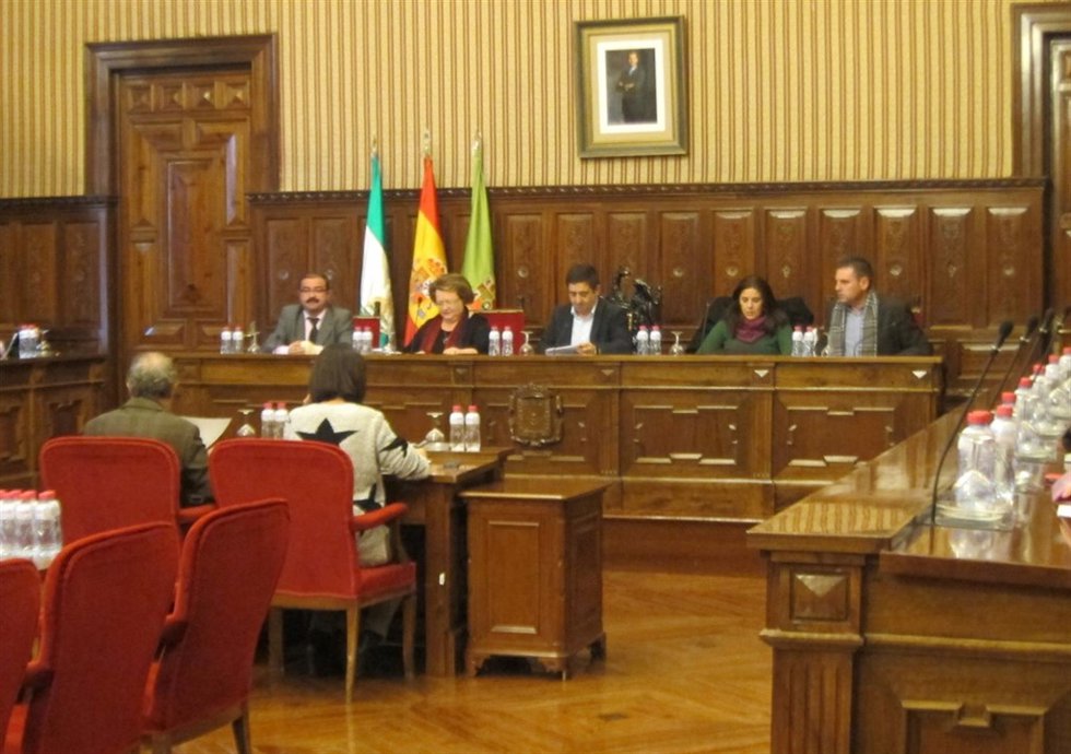 Pleno de la Diputación de Jaén