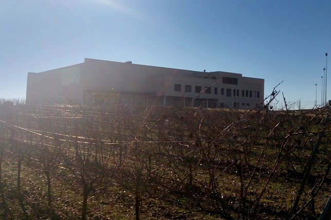 Bodega de Cuatro Rayas