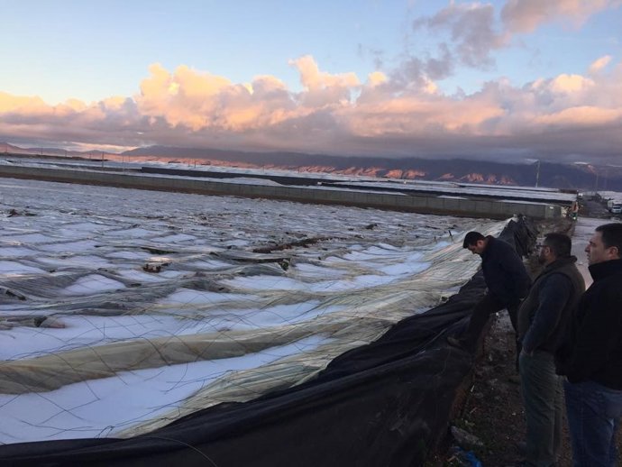 Un invernadero derruído y cubierto por la nieve 