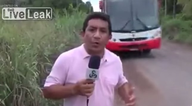 Periodista brasil