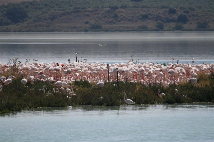 Laguna de Fuente de Piedra 