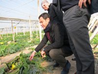 Moreno: El caso ERE "presiona" a Susana Díaz para un adelanto