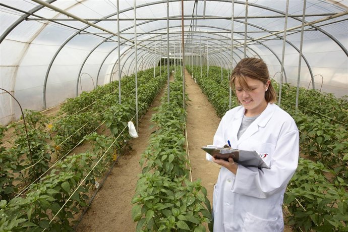 Neiker Tecnalia, Instituto de Investigación y Desarrollo Agrario, Derio, Bizkai