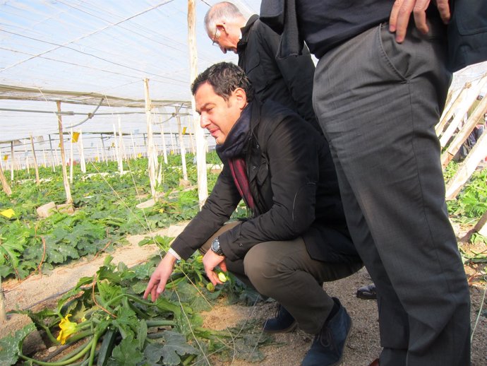 El presidete del PP-A, Juanma Moreno, revisa una planta de calabacín