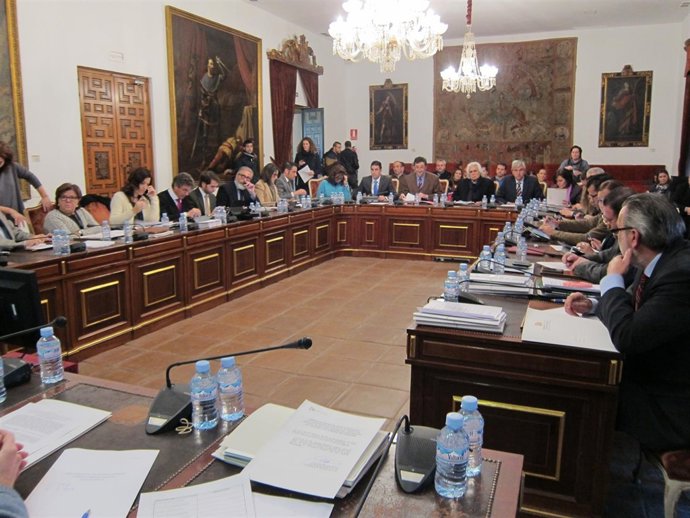 Un momento del Pleno