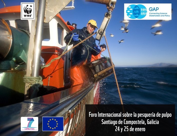 Foro Internacional sobre la Pesquería del Pulpo en Santiago (24 y 25 de enero)