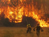 Incendios.- El fuego arrasó 46.818 hectáreas a lo largo de 2014, que se convierte en el mejor año del decenio