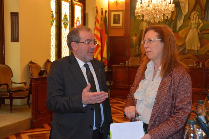 Pleno de enero de la Diputación de Lleida, con su presidente Joan Reñé