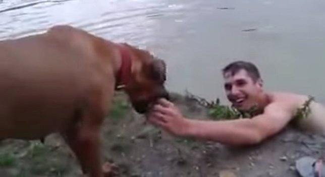 Perro héroe salva a su dueño de ahogarse