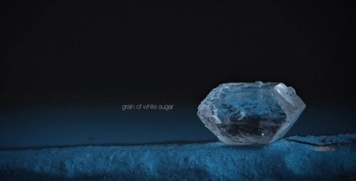 Descubre el mundo a través de una mira telescópica