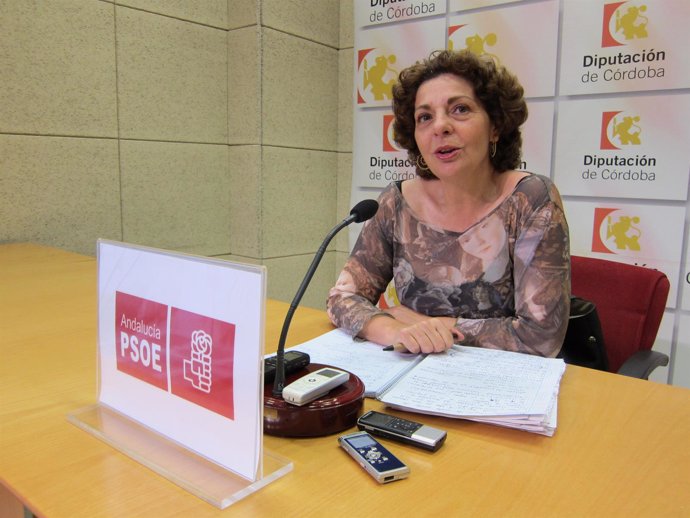 La portavoz adjunta del PSOE en la Diputación, Isabel Niñoles