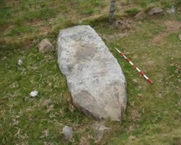 Representación megalítica en el Alto Guriezo