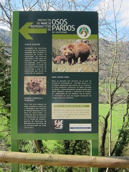 Senda Del Oso