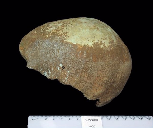 Cráneo de neandertal y humano