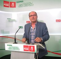 PSOE-A desea que IU "se centre" para "seguir siendo útil para Andalucía"