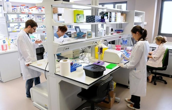 Investigadores del IBBTEC