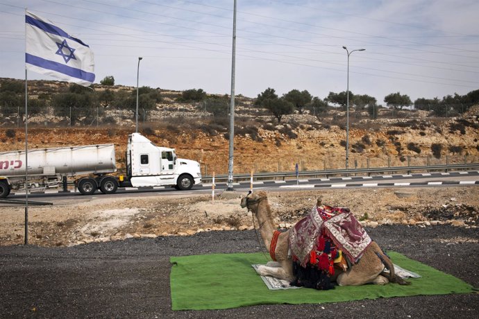 Un camello para turistas bajo la bandera israelí