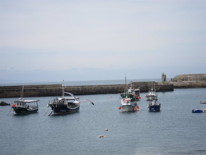 Pesca, puerto, mar, Tapia de Casariego, Asturias