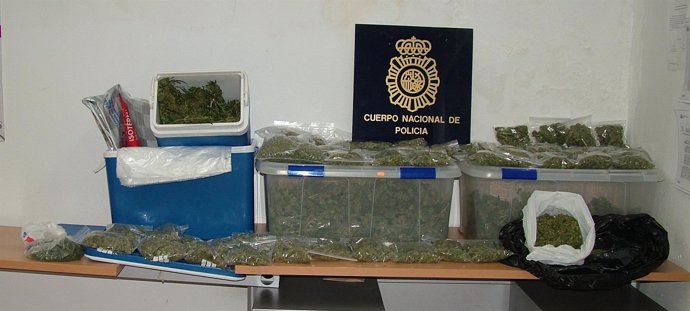 Marihuana incautada por la Policía Nacional