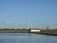 100 actividades en 32 provincias por el Día de los Humedales
