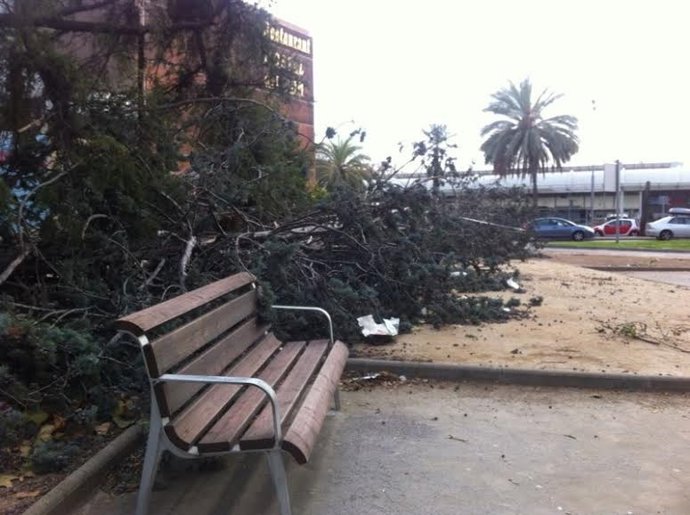 Desperfectos causados por el temporal de viento
