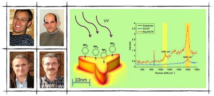 Participantes en el estudio