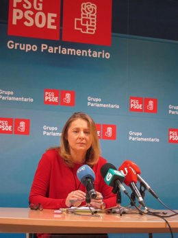 La diputada del PSdeG Concepción Burgo