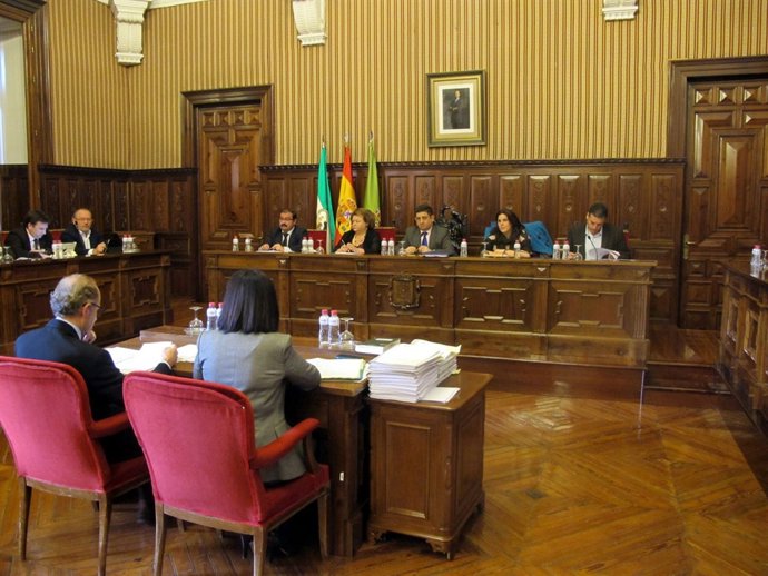 Pleno de la Diputación de Jaén
