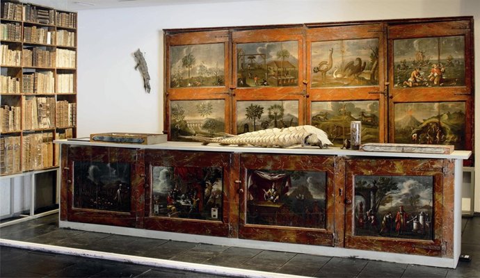 Col·lecció del Gabinet Salvador de historia natural